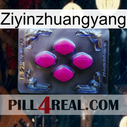 Ziyinzhuangyang 02